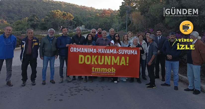 Bodrum’da Orman Alanı Turizm Tesisine Dönüştürülüyor: TMMOB’den Tepki