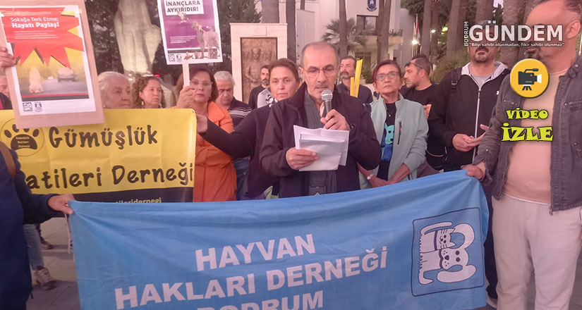 Bodrum’da Hayvan Hakları Savunucularından “Yasayı İptal Edin” Çağrısı