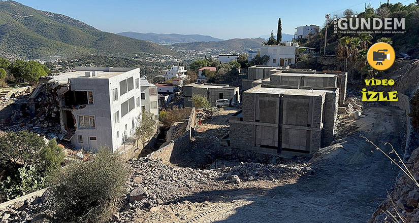 Suavi’nin Bodrum’daki arazisinde 40 ağaç kesildi