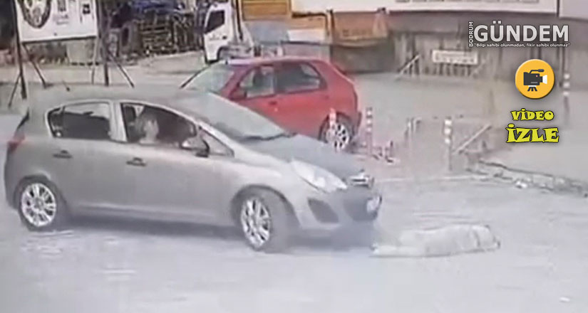 Otomobille köpeğin üzerinden geçti