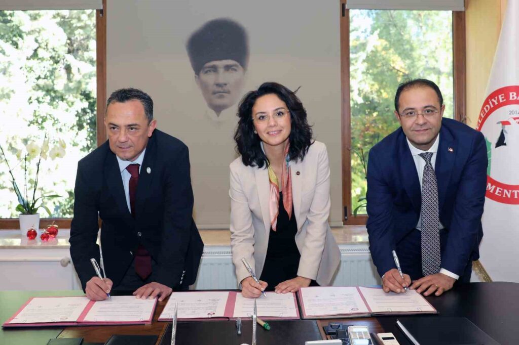 Sokak hayvanları kısırlaştırılarak sahiplendirilecek