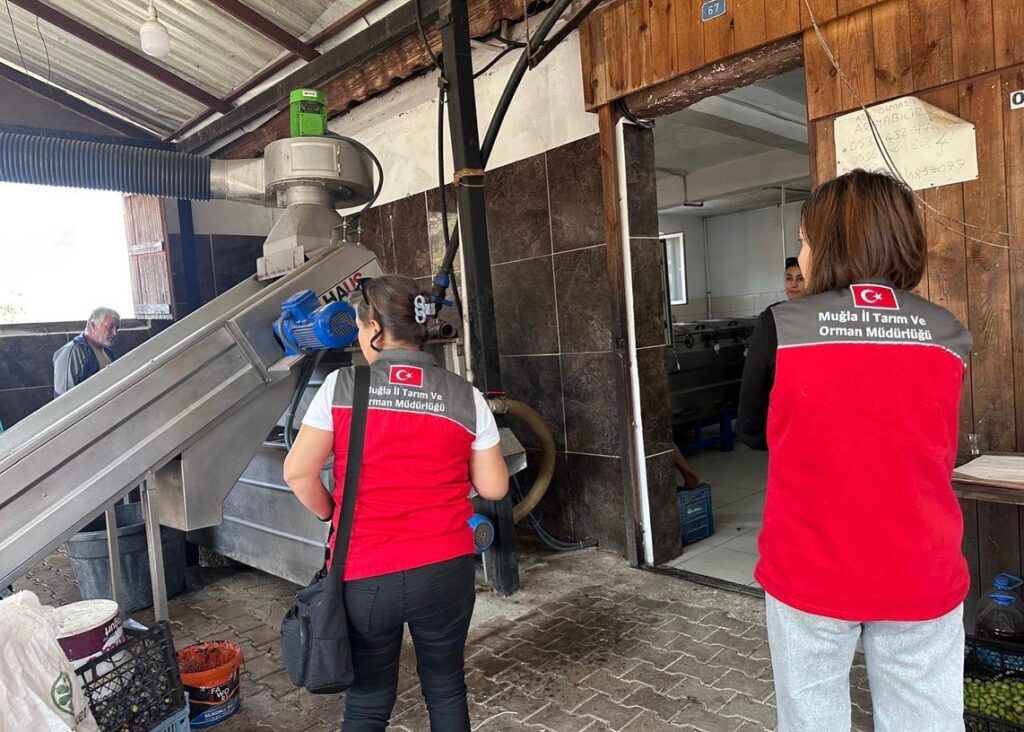Zeytinyağı denetimleri hız kesmeden devam ediyor
