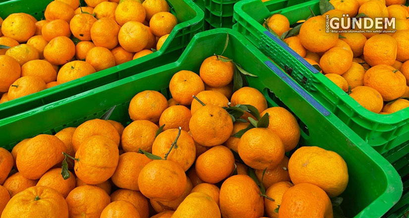 Belediye, Mandalina Üreticilerinin Yanında