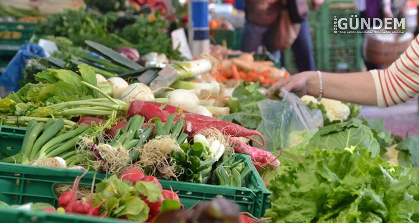2024 Üretici ve Market Fiyatlarında Değişimler