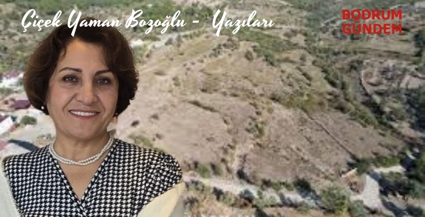 2025 yılı Türk Siyaseti İçin Birlik ve Beraberlik Yılı Olsun