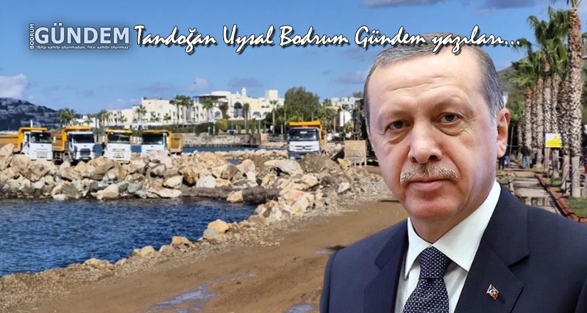 Turgutreis Liman Projesi: Son Karar Erdoğan’da