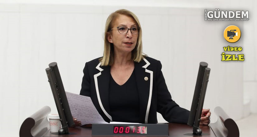 Vekil Süreyya Öneş Derici, Deştin Çimento Fabrikası Kararını TBMM’ye Taşıdı