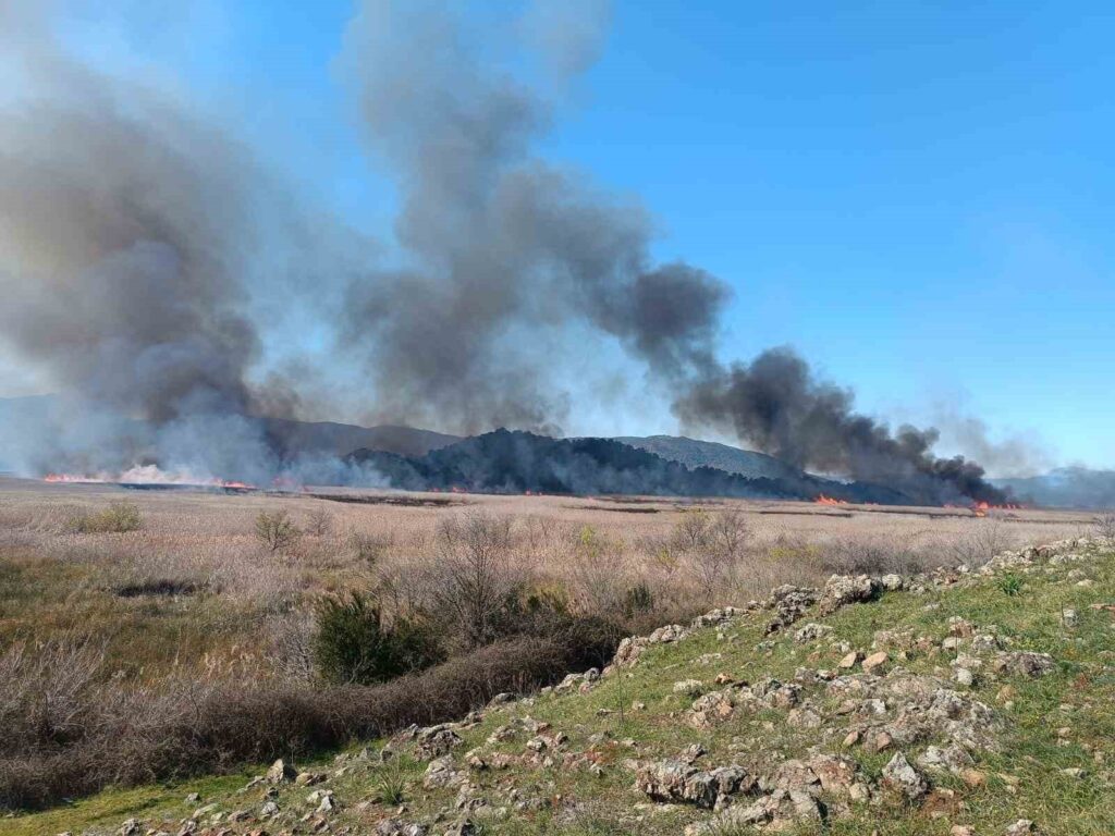 Köyceği̇zde Sazlık Yangını Başladı