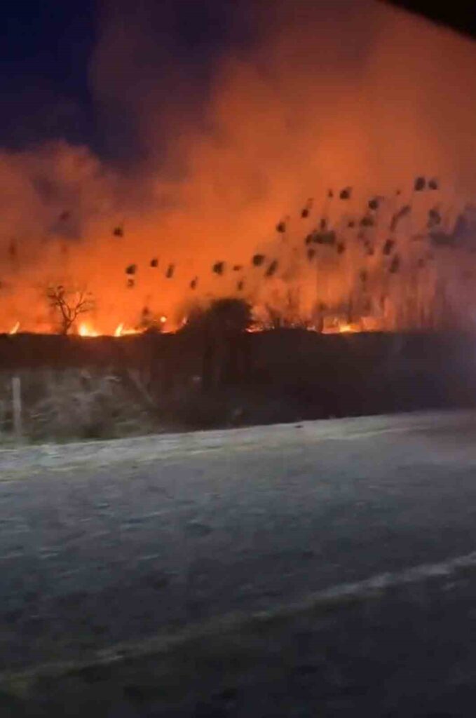 Köyceği̇zde Sazlık Yangını Başladı
