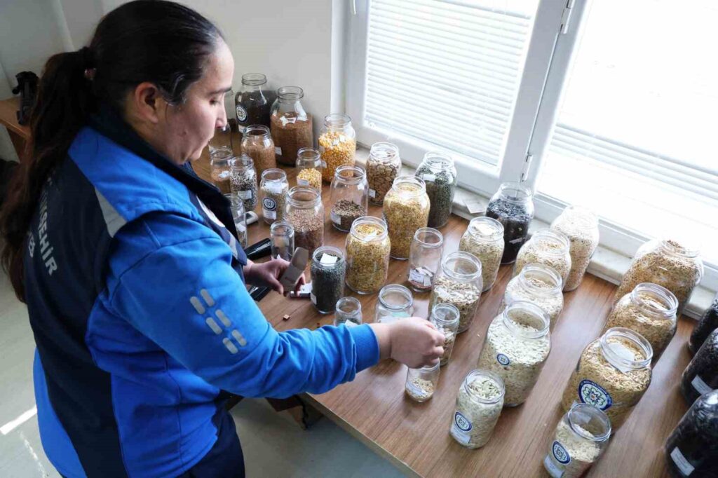 Muğla Büyükşehi̇ri̇n Yerel Tohum Dağıtımı Devam Edi̇yor