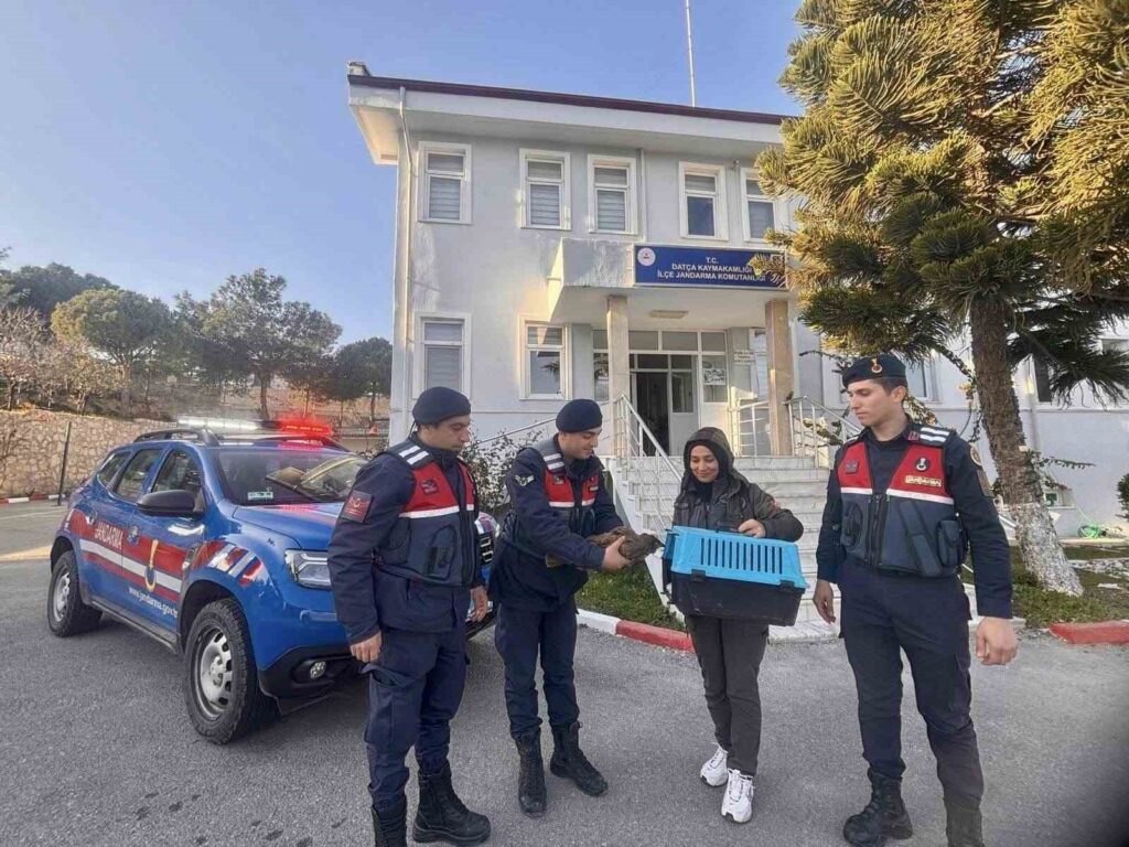 Jandarma Eki̇pleri̇ Yaralı Şahi̇ni̇ Kurtardı