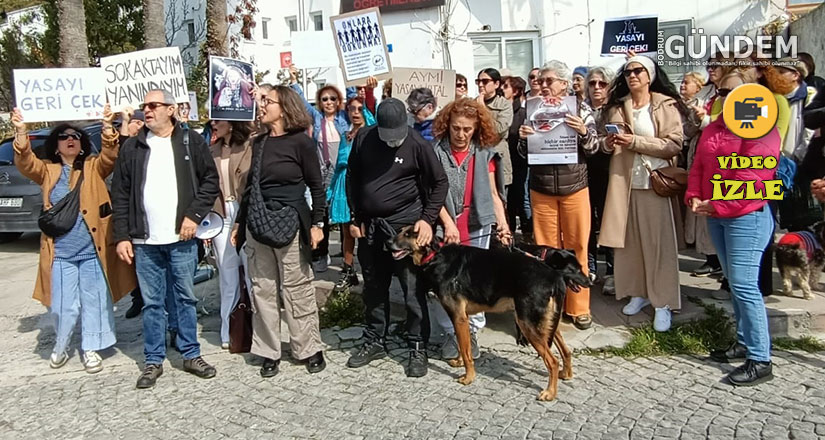 Yeni Hayvan Yasasına Bodrum’dan Tepki