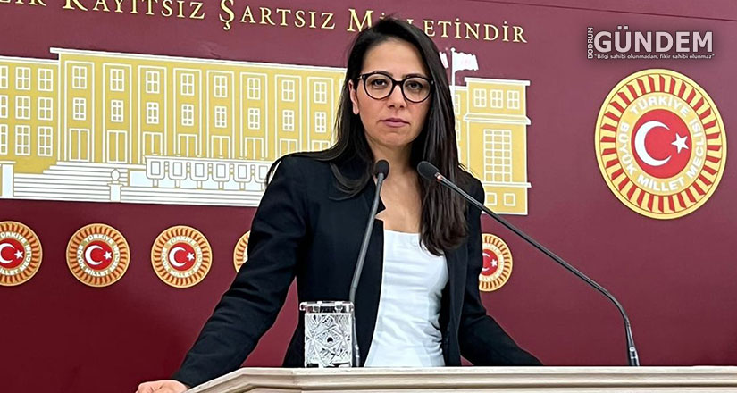 Sera Kadıgil, Datça Hastanesi’ndeki İntihar İçin Önerge Sundu