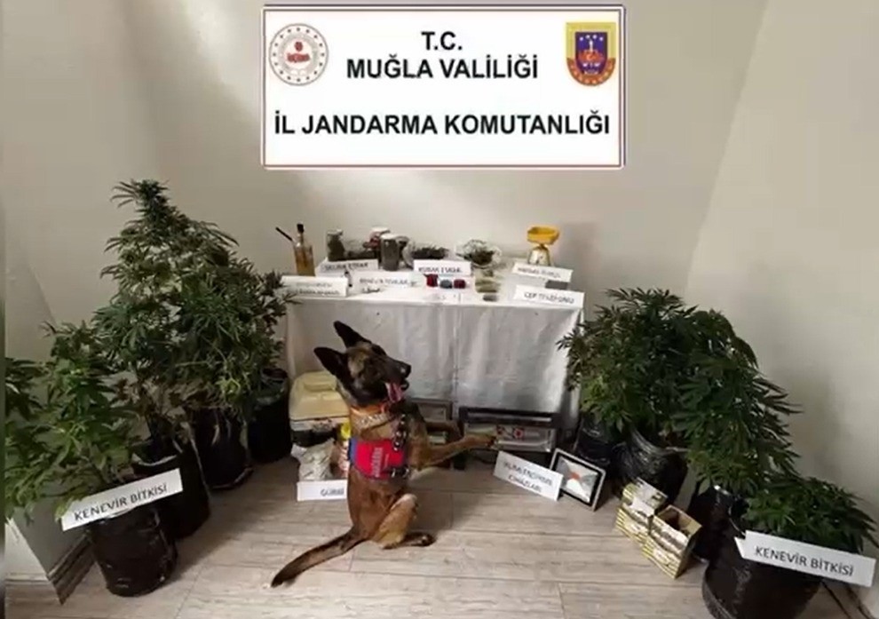 Marmari̇ste Uyuşturucu Operasyonu: 1 Tutuklama