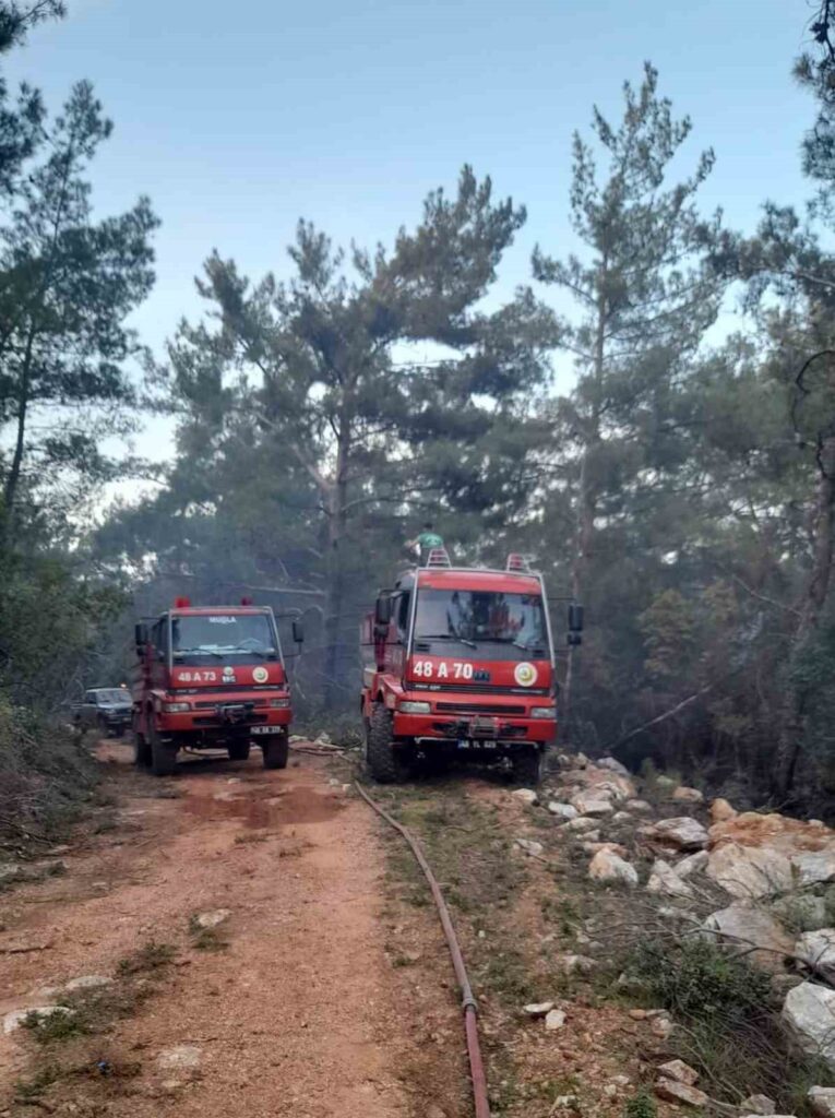 Mi̇las Yangını Kontrol Altına Alındı