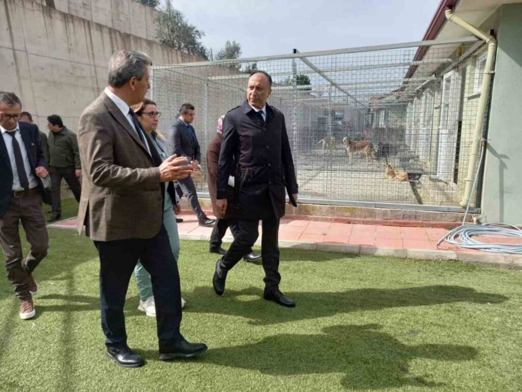 Muğla Büyükşehi̇r Geçi̇ci̇ Hayvan Bakım Evi̇nde İnceleme