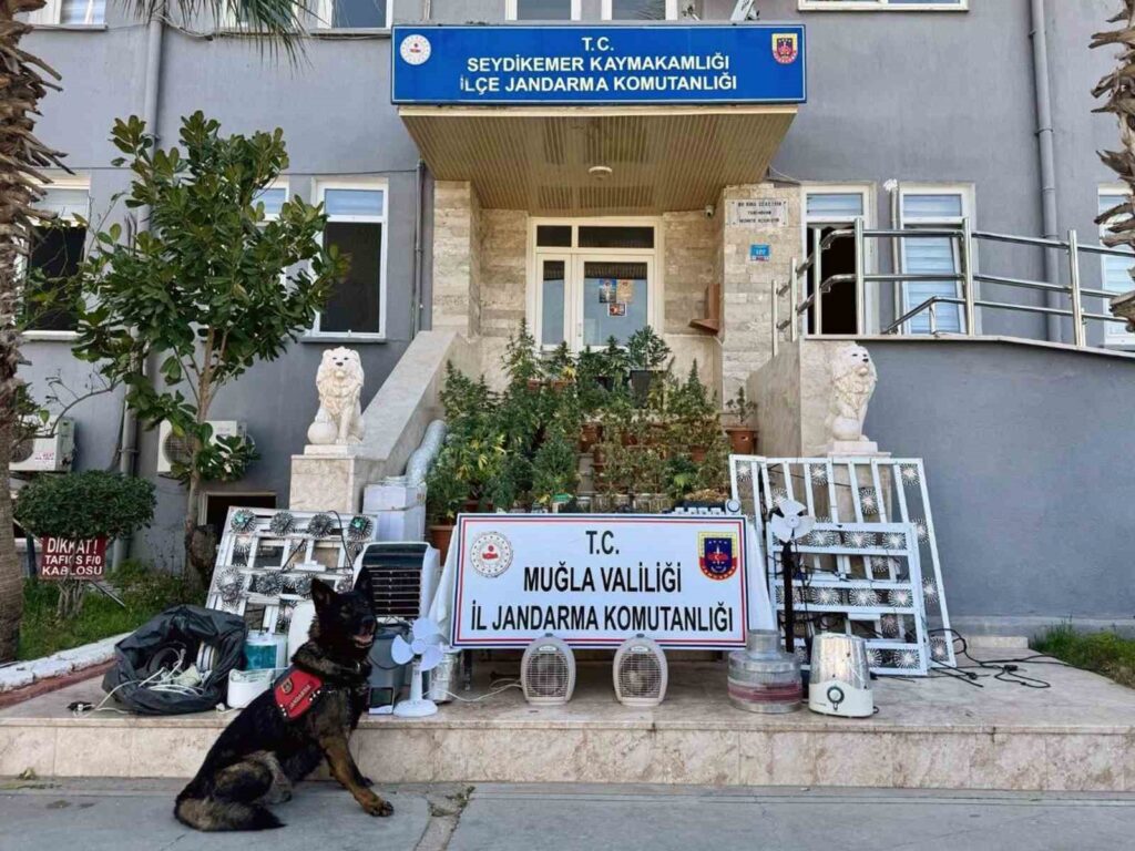 Seydi̇kemerde Uyuşturucu Operasyonu: 1 Ki̇şi̇ Tutuklandı