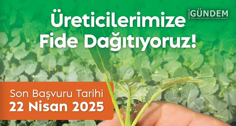 Belediyeden Çiftçiye Yazlık Fide Desteği