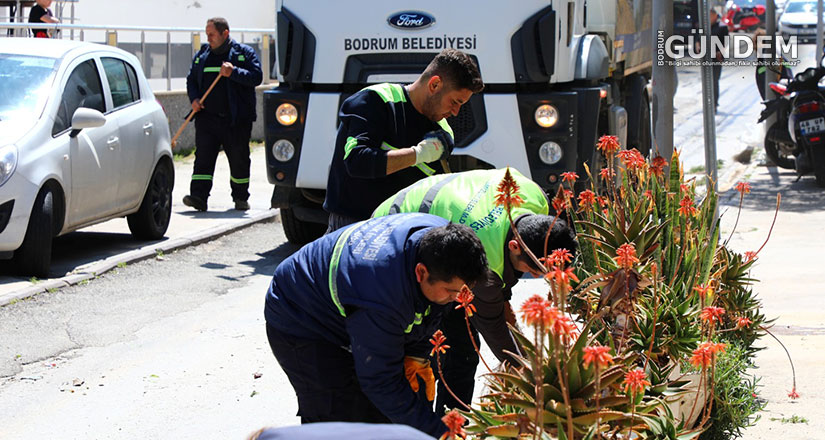 Gümbet’te Kapsamlı Temizlik Çalışması