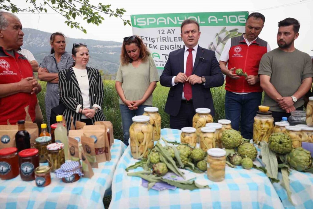 Akçapınarda ‘Hi̇bri̇t Engi̇nar Hasadı Tarla Günü Düzenlendi̇