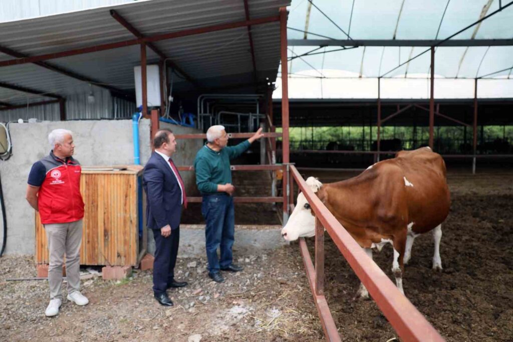 ‘Anneleri̇ Aşılat, Buzağını Yaşat Projesi̇ Eği̇ti̇m Toplantısı Ortacada Gerçekleşti̇ri̇ldi̇