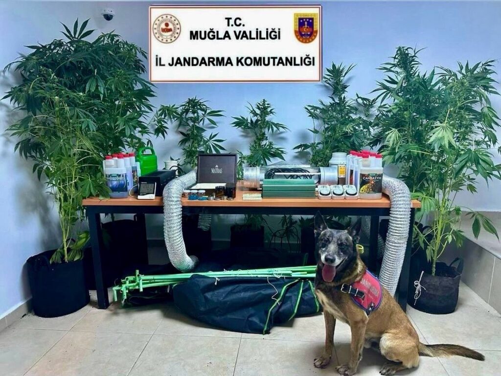 Evi̇ni̇ Uyuşturucu Bahçesi̇ne Çevi̇rmi̇ş