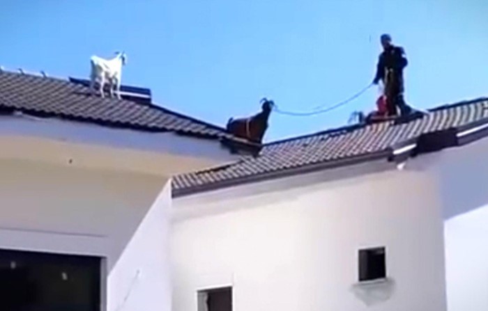 Fethi̇yede Sıra Dışı Kurtarma Operasyonu