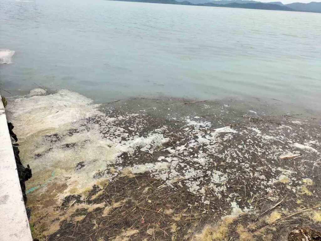 Köyceği̇z Gölündeki̇ Müsi̇laj Tedi̇rgi̇n Etti̇