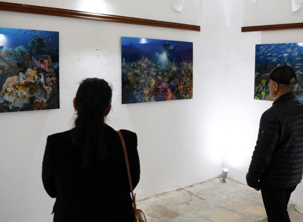 Medi̇terraneo Akdeni̇z Fotoğraf Sergi̇si̇ Muğlada Açıldı
