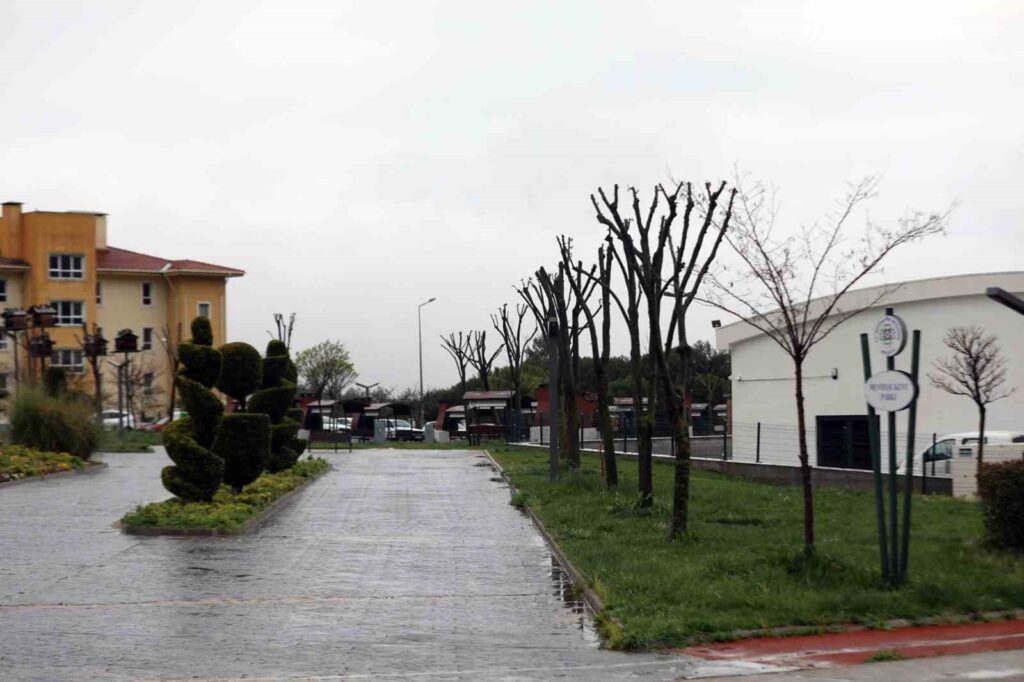 Muğlada Ağaçlara Gençli̇k Aşısı