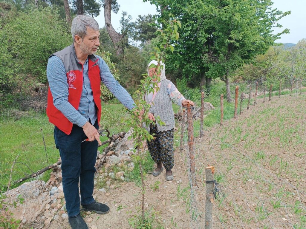 Muğlada Kapsamlı Tarımsal Taki̇p