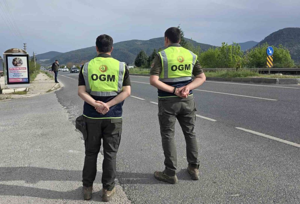 Muğlada Orman Emvali̇ Kontrolleri̇ Sürüyor