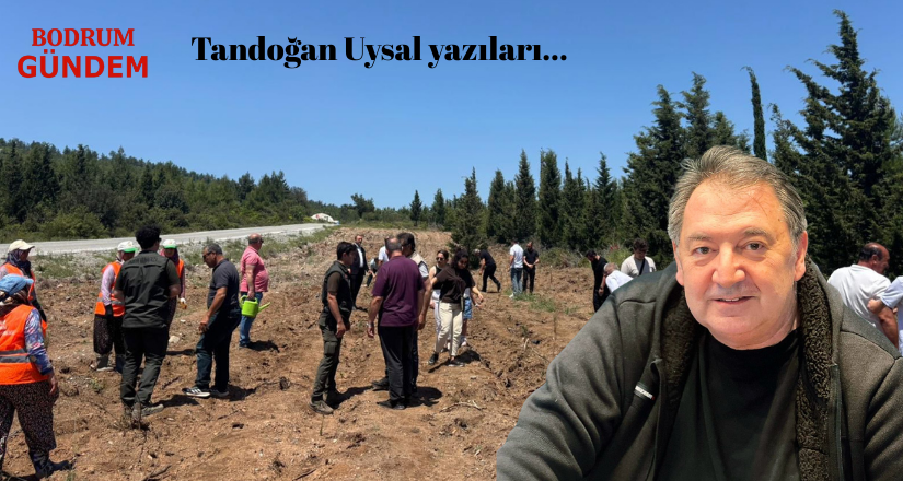 Anneler İçin Fidan, Siyaset İçin Örnek Bir Adım