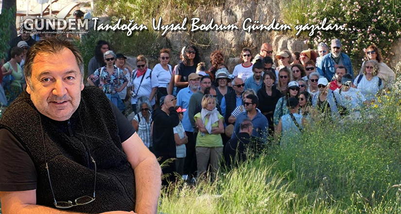 Taşlara Basarak Aydınlanmak: Bodrum’da Tarihe Yürüyüş