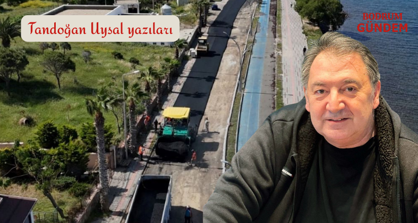 Bodrum’da Yabani Otlar Direnirken Asfalt Kazandı