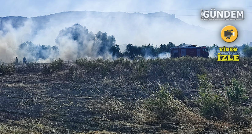 Bodrum’da zirai alan yangını