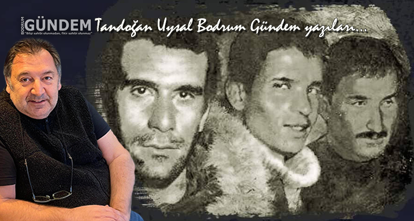 “Üç Fidan’ın Gölgesinde: Türkiye, Kendi Vicdanıyla Yüzleşmeli”