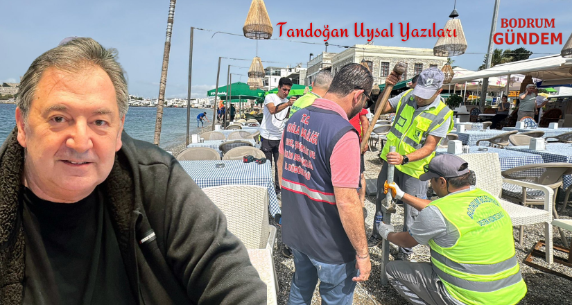 Üç Metrelik Zafer: Dalga Gelirse Vatandaş Ne Yapacak?”