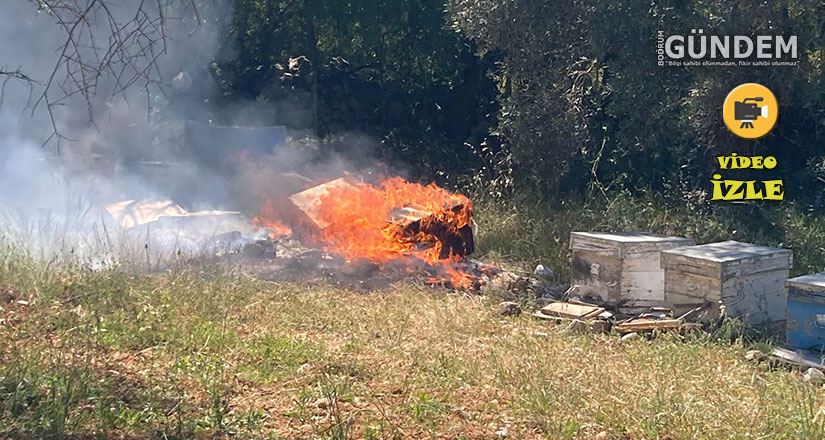 Pınarlıbelen Etrim Mevkii’nde Orman Yangını: Arı Kovanları Zarar Gördü