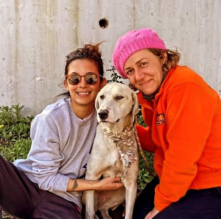 Depremde Kurtarılan Köpek, Datçadaki̇ Yeni̇ Hayatına Devam Edi̇yor
