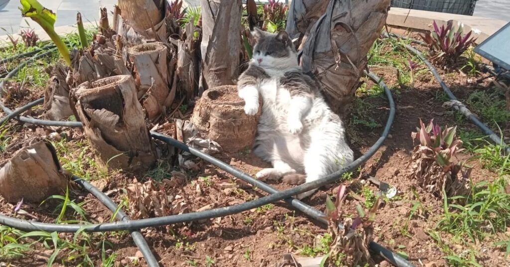 İşçi̇ler Çalıştı, O Keyfi̇ni̇ Bozmadı