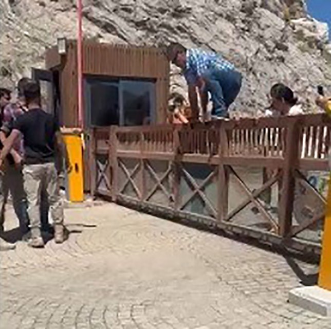 Proje Alanına Gi̇den Çevreci̇ler, Güvenli̇k Görevli̇si̇ni̇ Tokatladı