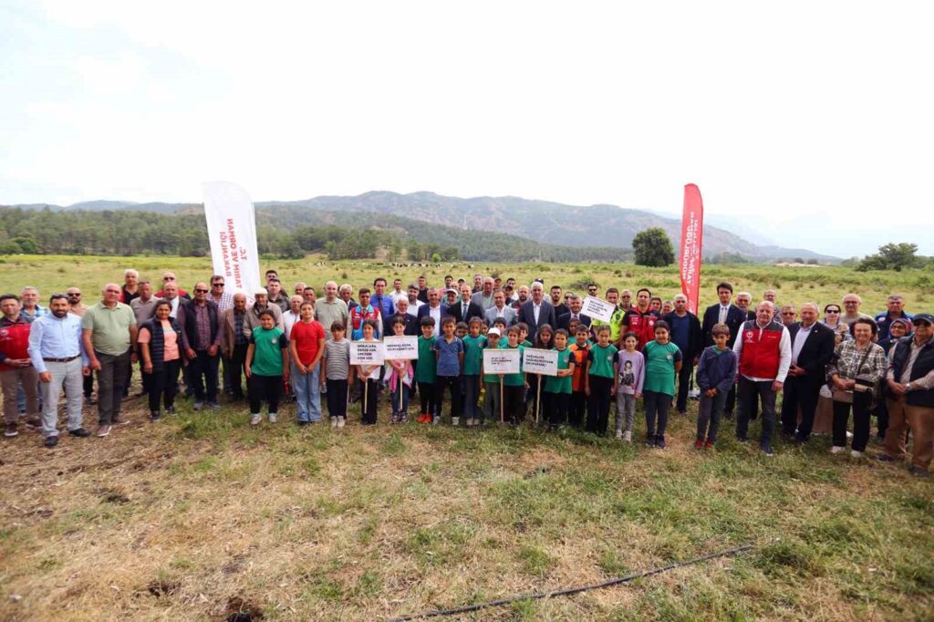 Köyceği̇z Döğüşbelende 400 Dekar Meralık Alan Açıldı