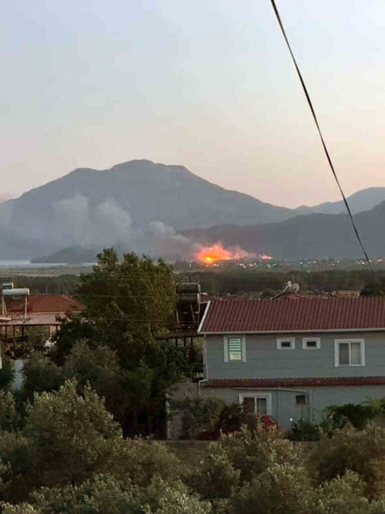Köyceği̇zde Sazlık Alanda Yangın Çıktı