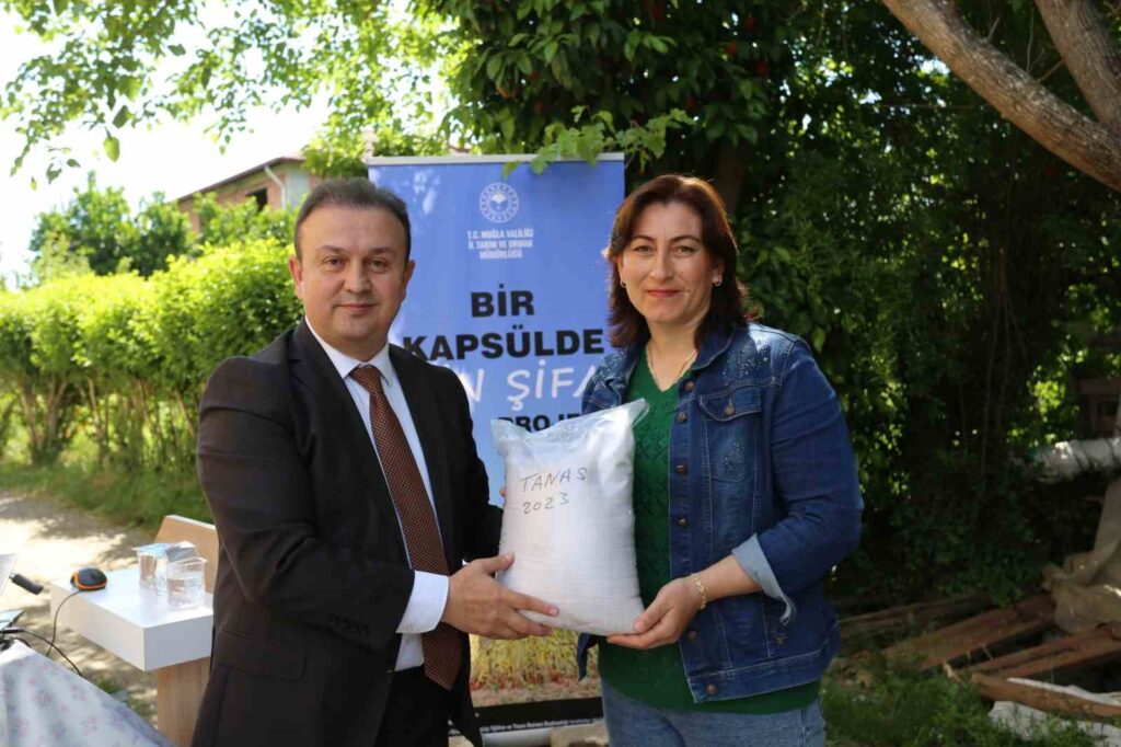 Köyceği̇zli̇ Üreti̇ci̇lere Yerli̇ Susam Tohumu Dağıtıldı