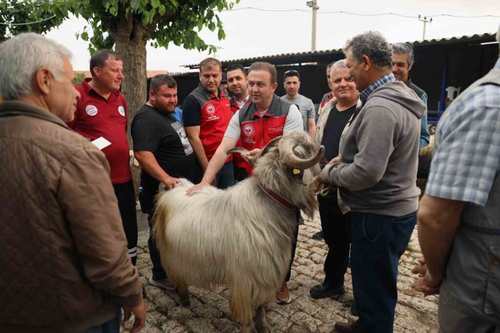 Kurban Pazarlarında Sağlık Ve Hi̇jyen Kontrolü