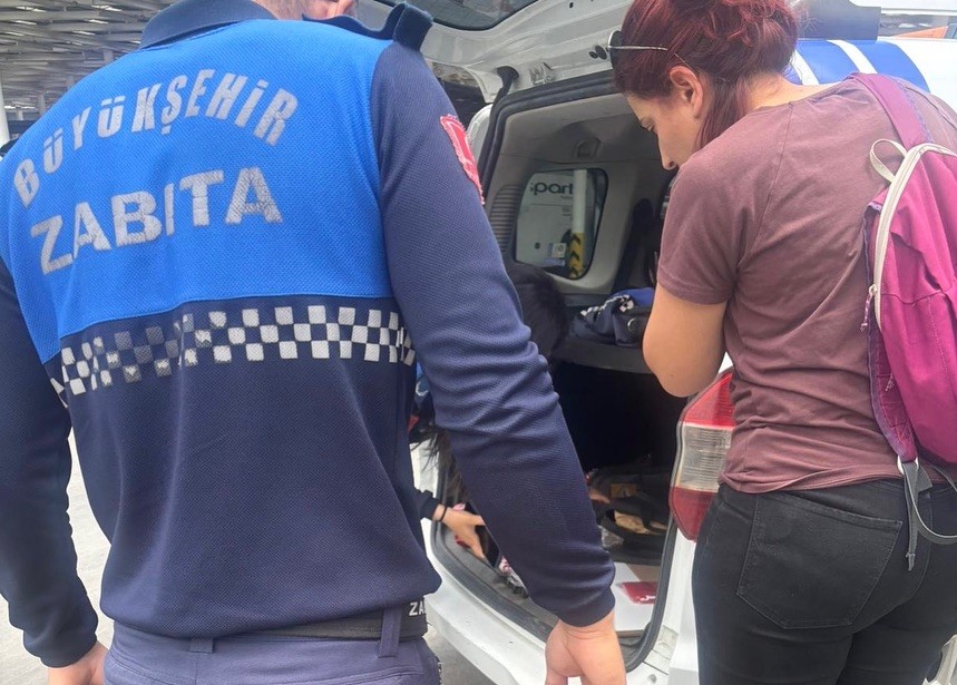 Menteşe Otogarında Sağlıksız Tavuk Döner Ele Geçi̇ri̇ldi̇