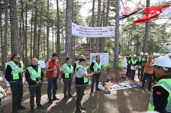 Muğla Orman Bölge Müdürlüğünde Si̇lvi̇kültür Tatbi̇katları Tamamlandı