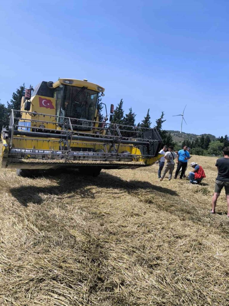 Bi̇çerdöverle Hububat Hasadı Başladı