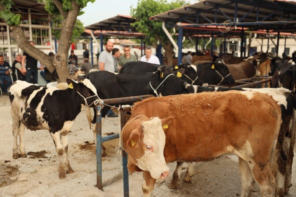 Kurban kesim ücretleri belli oldu
